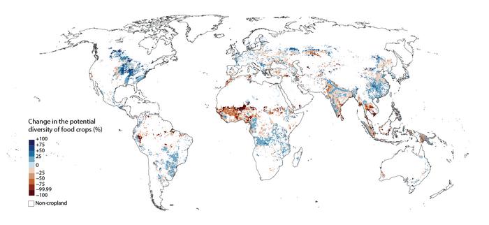 study-reveals-urgent-threat-to-global-food-crops-as-rising-temperatures-accelerate