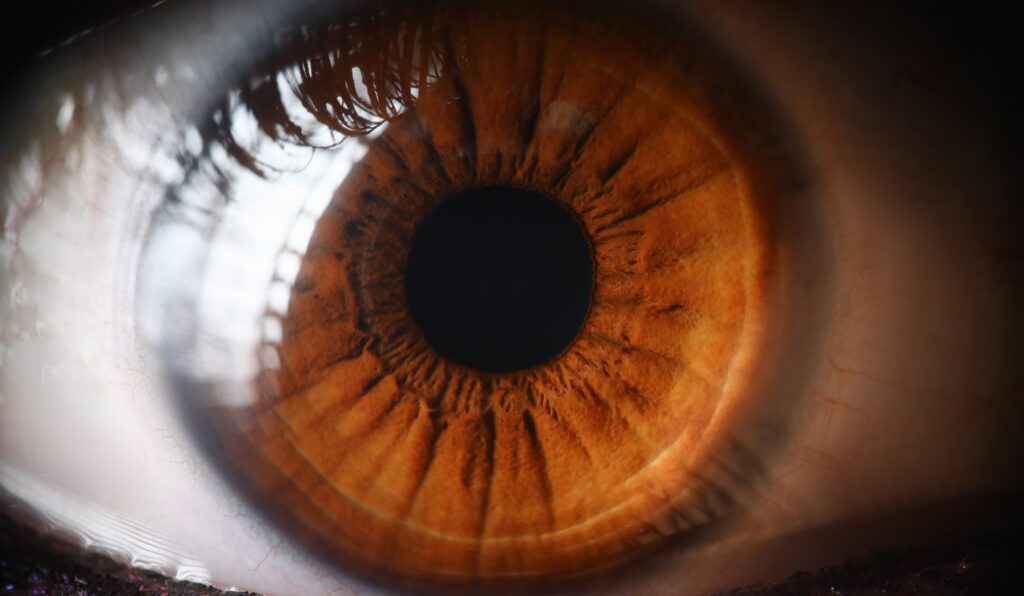 blinding-cornea-injuries-repaired-using-stem-cells,-clinical-data-show