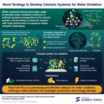 revolutionizing-renewable-energy:-a-sustainable-iron-catalyst-for-efficient-water-oxidation