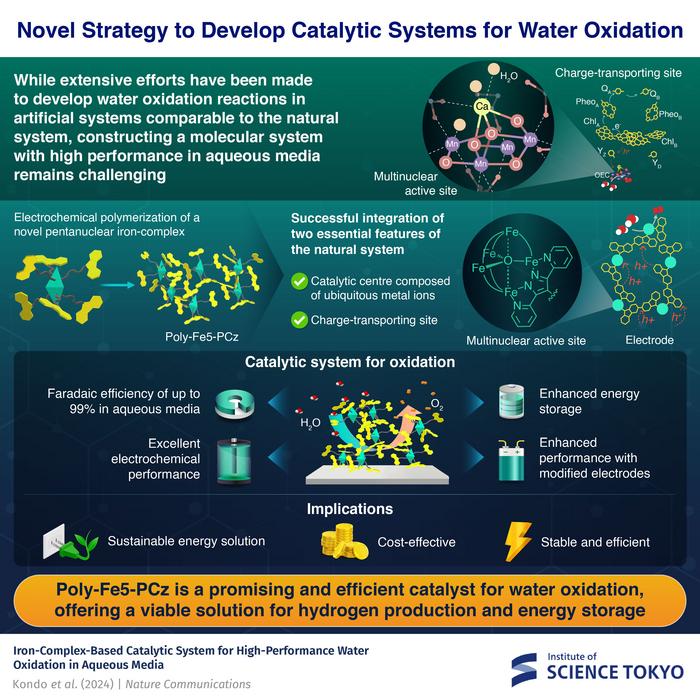 revolutionizing-renewable-energy:-a-sustainable-iron-catalyst-for-efficient-water-oxidation