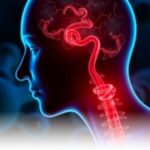nih-funded-researchers-develop-novel-drug-targeting-pain-sensation-pathway