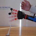 touch-with-confidence:-bionic-hand-mimics-human-sensation-and-grasp