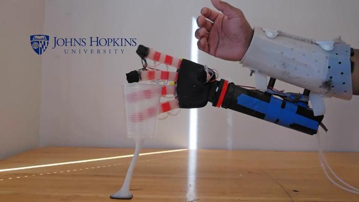 touch-with-confidence:-bionic-hand-mimics-human-sensation-and-grasp