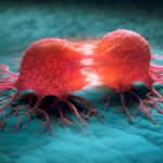 jazz-to-acquire-chimerix-for-$935m,-expanding-rare-oncology-portfolio