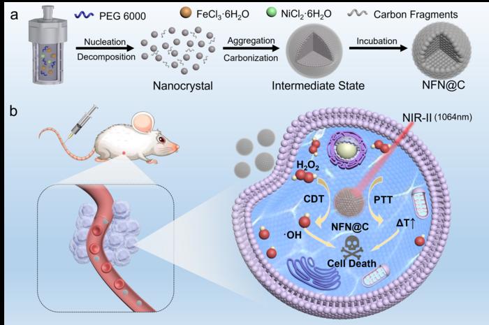 magnetic-catalysts-boost-cancer-therapy-through-electronic-density-manipulation