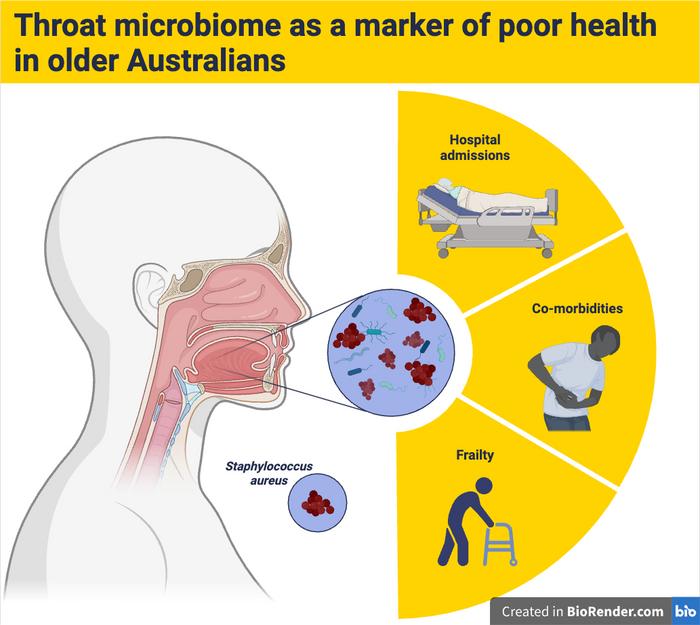 exploring-the-throat-microbiome:-insights-into-the-health-of-older-australians