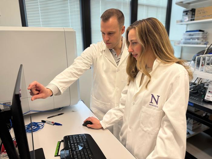 could-the-brain’s-natural-cleanup-system-hold-the-key-to-alzheimer’s-treatment?