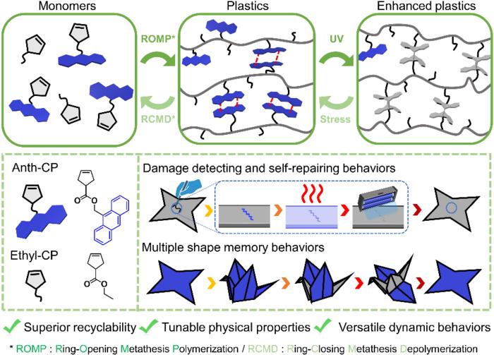 creating-sustainable-smart-polymers:-the-future-of-zero-waste-materials