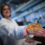 gut-microbe-composition-during-infancy-may-protect-against-diabetes-in-later-life