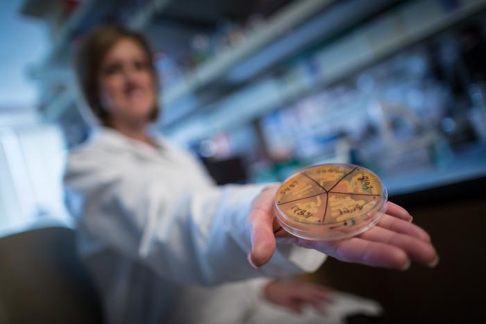 gut-microbe-composition-during-infancy-may-protect-against-diabetes-in-later-life