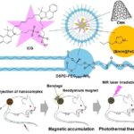 revolutionizing-precision-cancer-therapy-with-magnet-guided,-heat-activated-nanoparticles