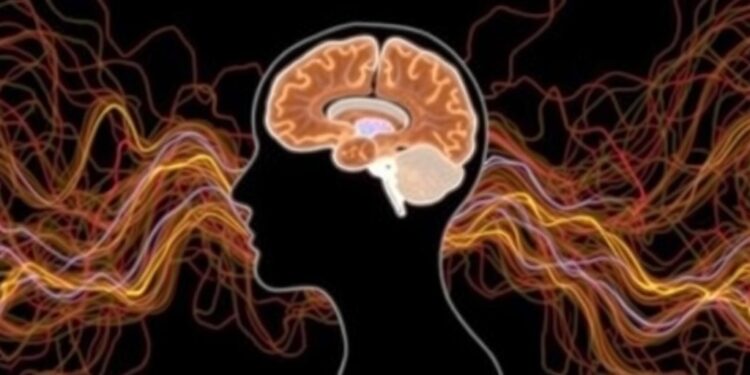mapping-the-mind:-new-research-reveals-neural-pathways-that-transform-sound-into-speech