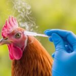 new-aerosol-test-developed-for-detecting-airborne-avian-influenza