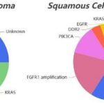 enhancing-lung-cancer-therapy:-distinguishing-between-luad-and-lusc