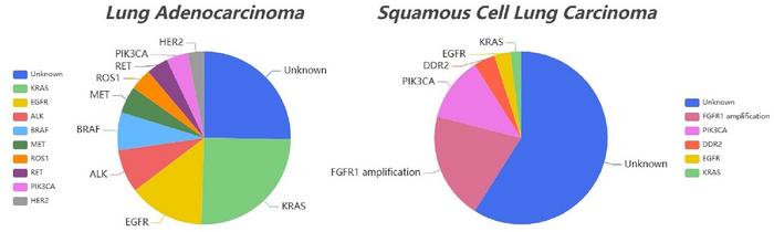 enhancing-lung-cancer-therapy:-distinguishing-between-luad-and-lusc