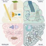advancements-in-intracortical-neural-interfaces:-paving-the-way-for-free-moving-animal-research