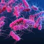 sirnas-may-provide-new-approach-to-fight-antibiotic-resistant-bacterial-infections