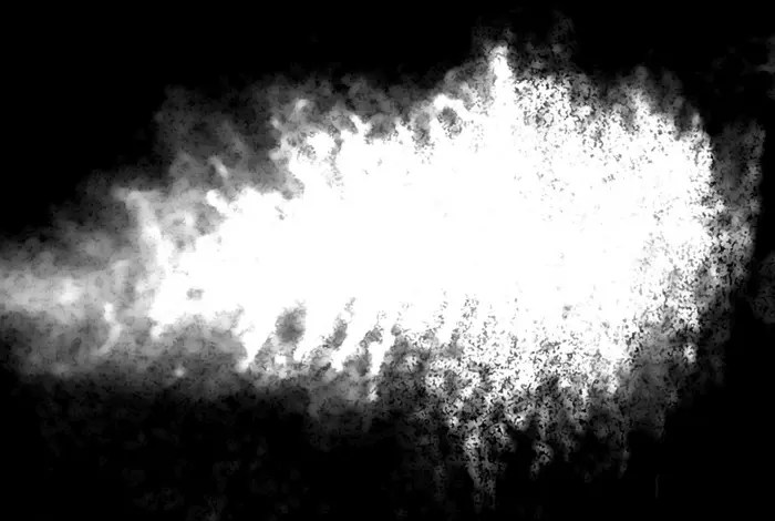 study-uncovers-key-genes-in-tuberculosis-essential-for-airborne-transmission