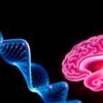 study-reveals-genetic-mutations-associated-with-toxin-exposure-in-brain-tumors-of-firefighters