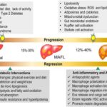 exploring-innovative-approaches-to-treat-metabolic-dysfunction-associated-fatty-liver-disease