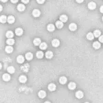 revolutionary-advances-in-next-generation-polio-vaccines