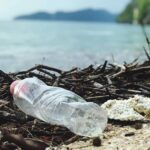 breathing-new-life-into-plastic-recycling:-a-fresh-perspective