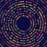 comprehensive-allele-specific-dna-methylation-atlas-developed