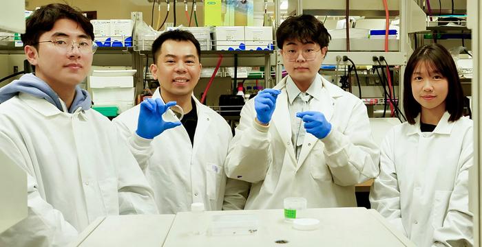 breakthrough-conductive-gel-enhances-research-on-spinal-cord-injury-treatments