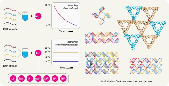 ualbany-researchers-discover-innovative-advances-in-dna-nanostructure-self-assembly