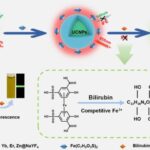 revolutionizing-neonatal-care:-smartphones-and-nanotechnology-facilitate-swift-jaundice-detection