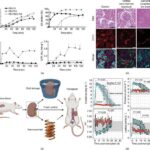 breakthroughs-in-organ-preservation:-transforming-transplantation-outcomes