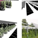 maximizing-yield:-enhancing-agrivoltaic-systems-for-sustainable-agriculture-and-clean-energy