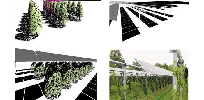 maximizing-yield:-enhancing-agrivoltaic-systems-for-sustainable-agriculture-and-clean-energy