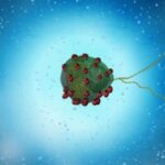 magnetic-microalgae-set-to-transform-into-robotic-innovators