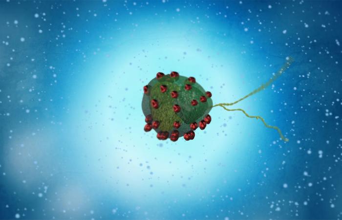 magnetic-microalgae-set-to-transform-into-robotic-innovators