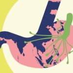 advancements-in-helicobacter-pylori-treatment-approaches-across-the-asia-pacific-region