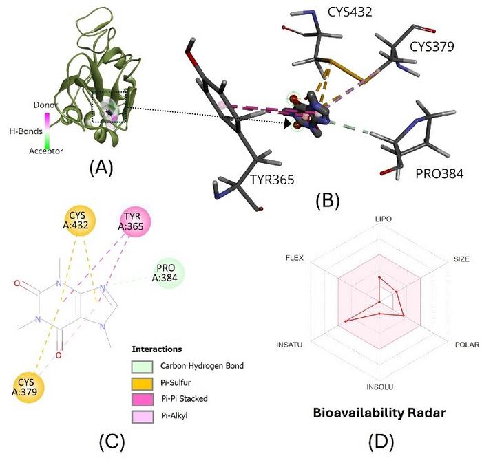 leveraging-computational-methods-to-discover-natural-products-against-sars-cov-2