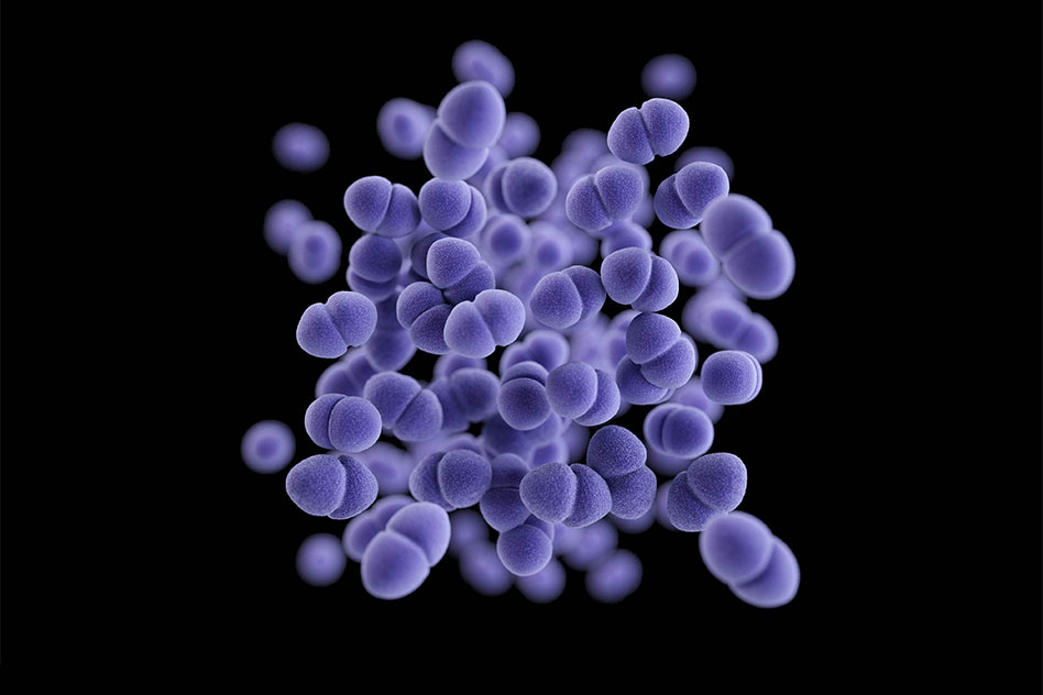 drug-resistant-bacteria-outcompete-rivals-in-hospitals