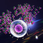 drug-delivery-method-uses-injectable-microcrystals-for-long-term-delivery-of-contraceptives