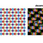 groundbreaking-study-reveals-mechanisms-behind-retinal-cell-spacing