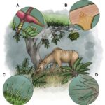groundbreaking-research-unveils-venomous-insights-beyond-the-animal-kingdom
