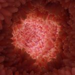 gut-protein-in-nerve-cells-senses-pressure,-inflammation-to-aid-digestion