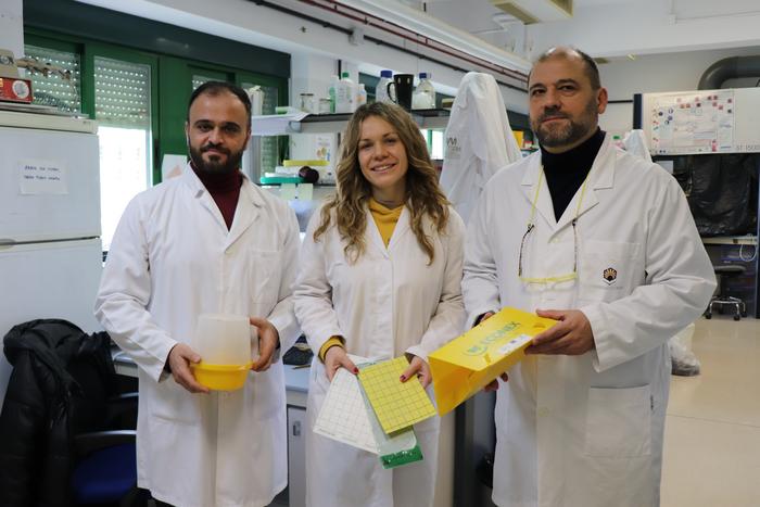 new-efficient-method-enhances-olive-fly-population-monitoring