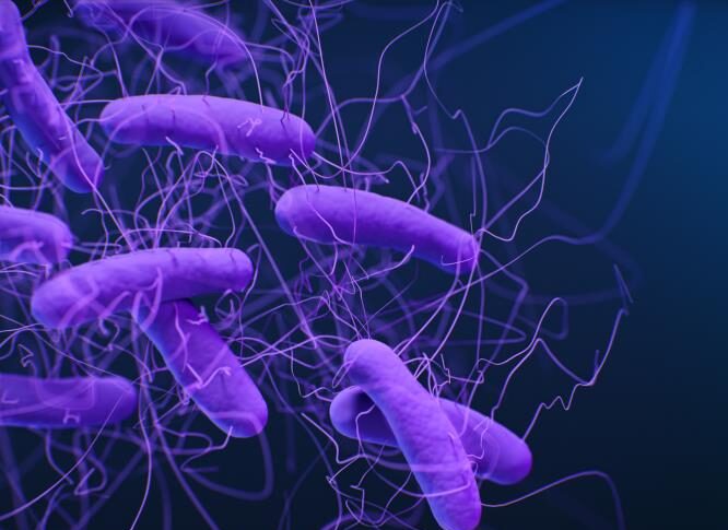 toxic-compound-gives-c.-difficile-competitive-advantage-in-infected-gut