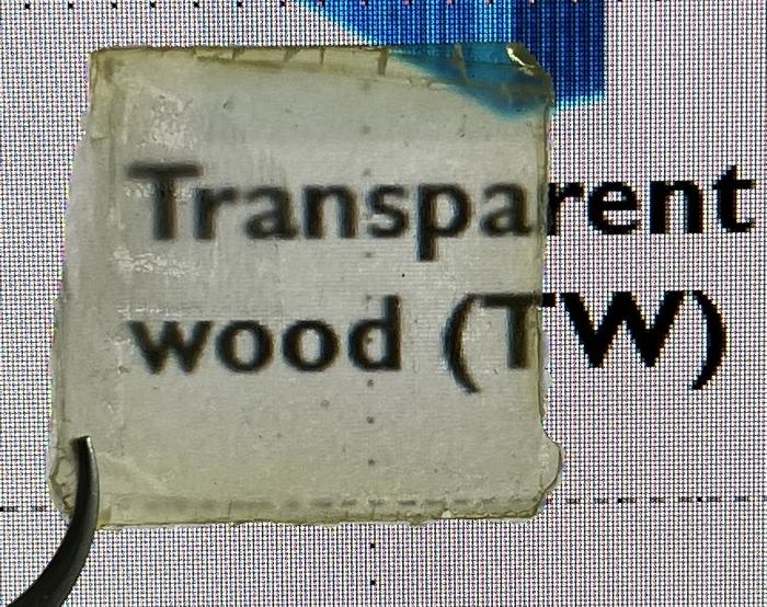 creating-durable,-semi-transparent-wood-using-affordable,-natural-materials