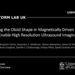 compact-rolling-robot-performs-virtual-biopsies