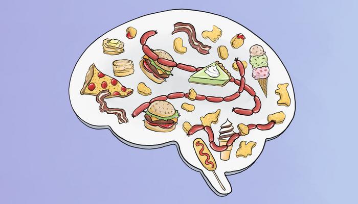 mice-lose-interest-in-high-fat-diet-due-to-declining-neurotensin