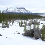 enhancing-our-understanding-of-permafrost-thaw-risks-in-alaska