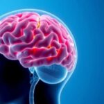 smaller-brain-volumes-may-indicate-early-signs-of-heart-issues