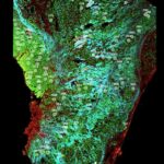 singaporean-researchers-create-tumor-maps-to-enhance-precision-treatment-for-stomach-cancer